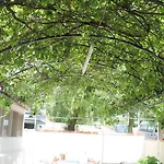 Altinyaz